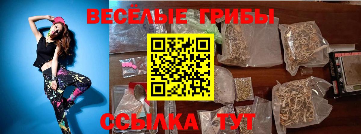 Иваново  Галлюциногенные грибы мухоморы  Вход с VPN 