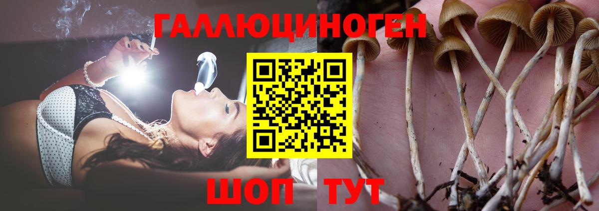 Галлюциногенные грибы мицелий Иваново